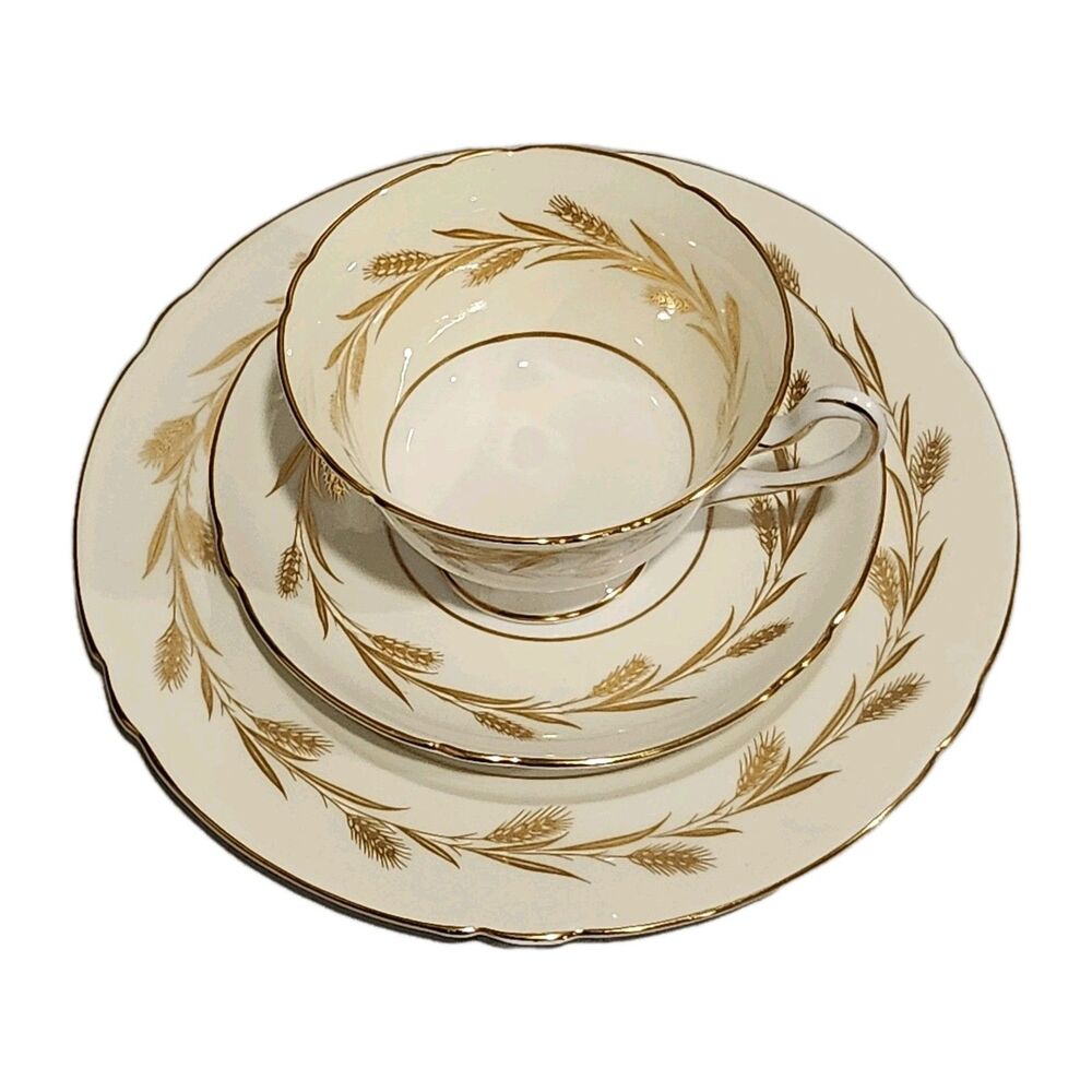 Vintage Shelley "Golden Harvest" Fine Bone China Setting England